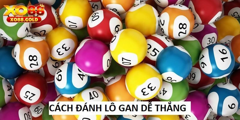 Chia sẻ một vài kinh nghiệm chọn lô gan cho người mới